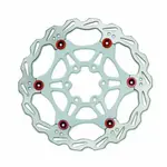 Тормозной диск Bonin DR-06FA 6B, серебряный - фото