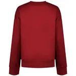 Толстовка Reebok Classics Reagan Oversized, красный - фото 3