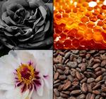 Туалетная вода Византия 100 мл. Tesori d'Oriente - фото 5