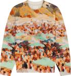 Свитер Aimé Leon Dore Landscape 'Multicolor', разноцветный - фото