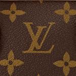 LOUIS VUITTON Сумка - фото 5