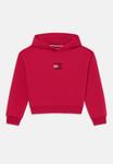 Худи Tommy Hilfiger RHINESTONE FLAG HOODIE, Ruby Rhubarb/Red - фото