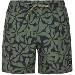 Шорты для плавания prtbaza Protest, зеленый - фото