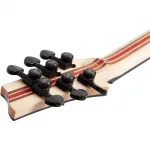 Электрогитара Schecter Guitar Research C-1 Pale Moon - Натуральный сатин с черным градиентом - фото 9