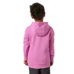 Толстовка Helly Hansen Graphic K full zip, розовый - фото 2