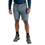 Шорты Dare2B Tuned In Pro Lightweight Cargo, серый - фото