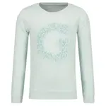 Мини-Толстовка стандартного кроя Guess, зеленый - фото