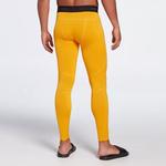 Мужские компрессионные тайтсы Dsg - фото 3