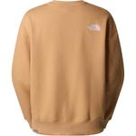 THE NORTH FACE Коричневый мужской свитшот - фото 2