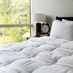 Sealy Tranquility BeКомфортное одеяло, цвет Bright White - фото 2