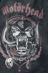 Шорты Motörhead Aggressive, серый - фото 3