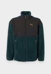 Флисовая куртка Puma SOFT TOUCH RELAXED JACKET, Green Terrain/Black/Purple - фото 7