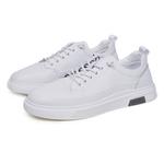 Кроссовки для скейтбординга мужские низкие белые Wit - фото 6