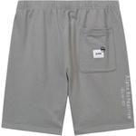 Шорты Cotton с нашивкой-логотипом Alpha Industries, серый - фото 4