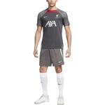 Футболка Liverpool F.C. Strike Soccer Bottom мужская Anthracite Nike - фото 3