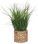 Декоративное растение Atmosphera Créateur d'intérieur MODA, бежевый - фото