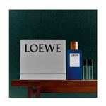 Cofre 7 1 шт Loewe - фото 2