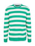 Свитер TOM TAILOR DENIM, Grass Green - фото