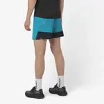 Мужские шорты Cross 5'' Salomon, синий - фото 2