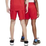 Дети Шорты Nike, красный - фото 4