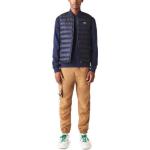 LACOSTE Мужской жилет, цвет Black - фото 4