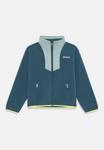 Флисовая куртка Columbia SEQUOIA GROVE FULL ZIP, Everblue/Crushed Blue/Teal - фото