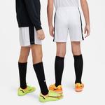 Обычные спортивные штаны NIKE Academy23, белый - фото 6