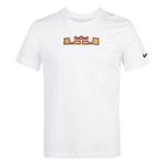 Футболка Nike Dri-Fit Lebron Logo Basketball Men White, белый - фото