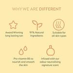 Жидкость для загара спрей 250мл He-Shi Classic - фото 4