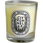 Ароматическая свеча Diptyque, зеленый - фото