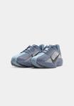 Кроссовки Nike Performance PEGASUS PLUS, Ashen Slate/Anthracite/White/Pure Platinum/Light Armory Blue/World Indigo/Dark Grey - фото 4