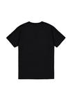 Футболка Alpha Industries Basic T-shirt, Black Shiny Gold/Black - фото 5