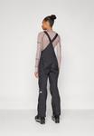 Лыжные брюки The North Face FREEDOM BIB, Black - фото 3