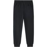 Утепленные брюки Urban Function Series CAMEL, phantom черный - фото 2