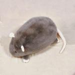 Плюшевая кукла мышь высота 35см/50см X3COMMUNE, белый - фото 5