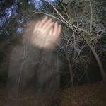 Виниловая пластинка Nothing, Nowhere.: The Singles - фото