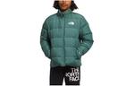 Детская куртка The North Face, зеленый - фото 2