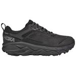 HOKA ONE ONE Кроссовки Challenger Low Gore Tex 'Black' - фото 3
