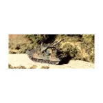 Гепард, Modern Micro Armour - Germany (1:285) - фото