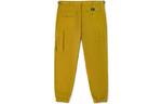 Мужские брюки Vans, цвет Acid Yellow - фото 2