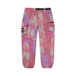 Брюки Supreme x The North Face Belted Cargo Pants, Multicolor - фото