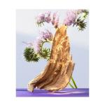 Омния Аметист 30 мл Bvlgari - фото 4