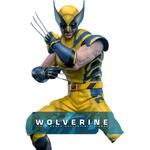 Фигурки Wolverine Deadpool в масштабе Hot Toys - фото 4