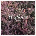 Виниловая пластинка LP Spring EP [Pink & Green Vinyl] [Explicit] - Wallows - фото