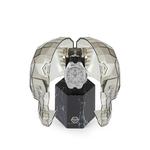 Футболка Octagon 44mm PHILIPP PLEIN - фото 4