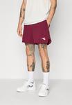 Спортивные шорты Diadora SHORTS ICON, Maroon Banner/Bordeaux - фото