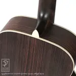 Eastman PCH2-TG 2025 - фото 12