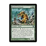 CCG Дарквуд Балот (С) (Фольга), MTG - Modern Masters 2013 - фото