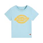 Детская футболка Dickies, голубой - фото 33