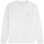 Футболка мужская Abercrombie＆Fitch, белый - фото